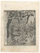 Ovid's Metamorphosis Series