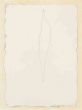 Pink Series - Lucio Fontana - Contemporary Art
