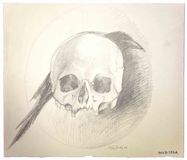 Skull