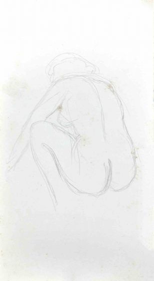 The Posing Nude 