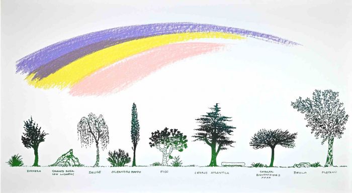Un Viale di Alberi Diversi (A Driveway of Different Trees)