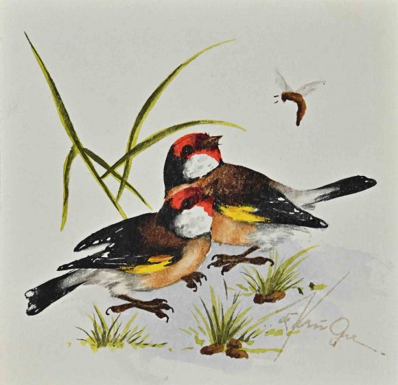 Birds