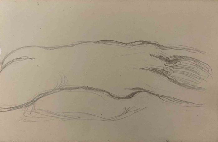 The Sleeping Nude  