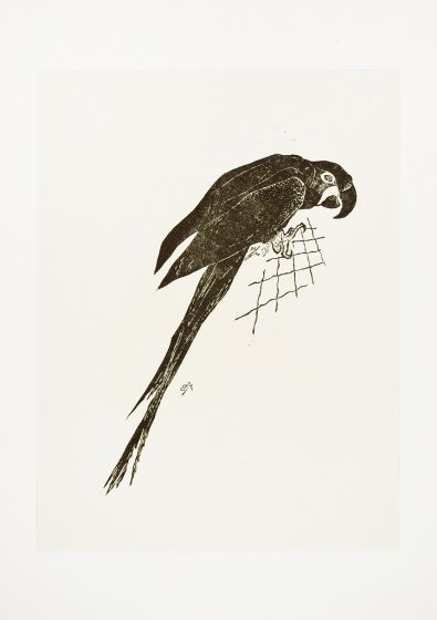 The Parrot by Raymond Brudieux - Modern Artwork