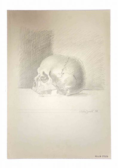 Skull
