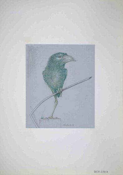 Bird
