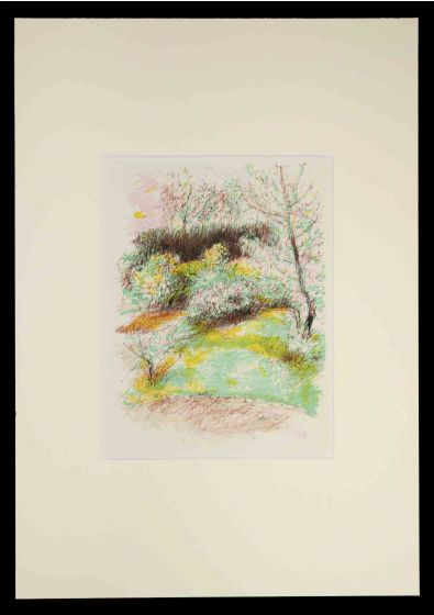 The Garden