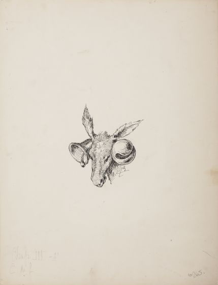 Donkey with Bells
