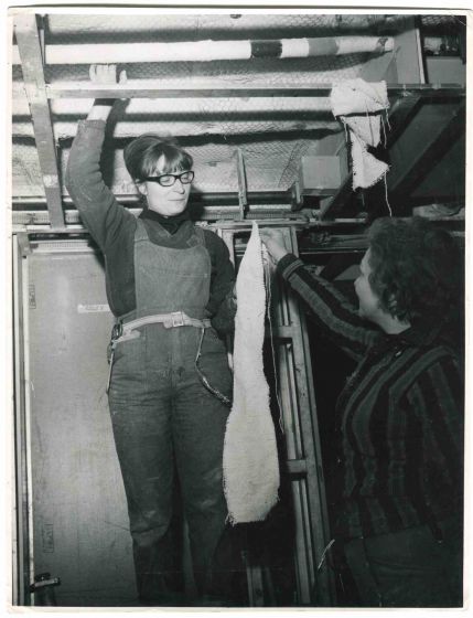 Women at Work - Historical Photograph About Women Rights