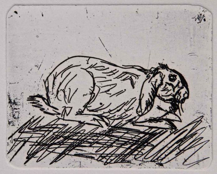 Rabbit di Antonio Ligabue