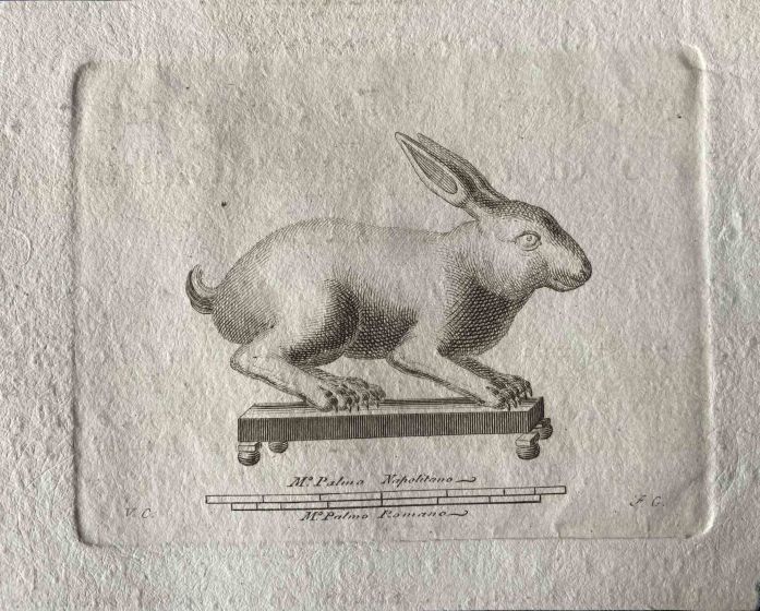 Animal Figures for Antiquities of Herculaneum Exposed