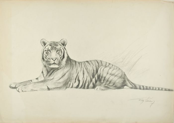 Tiger by Wilhelm Lorenz - Modern Artwork