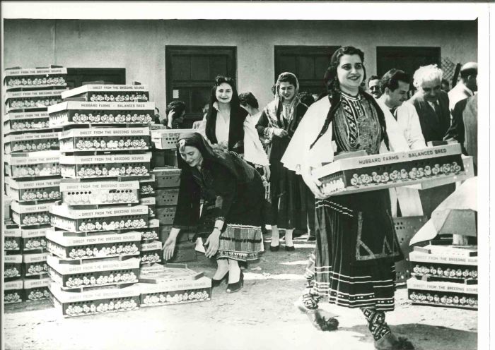 Heifer Project- Vintage Photograph