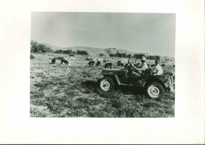 American Cattle Breeder - American Vintage Photograph