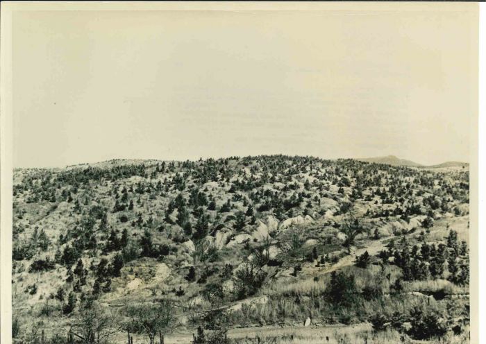 Man-made Miracle- American Vintage Photograph 