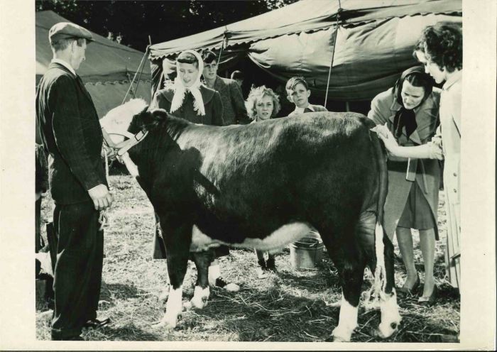 County Fair - American Vintage Photograph