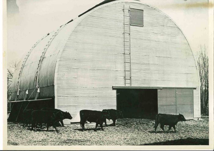 The Barn- American Vintage Photograph
