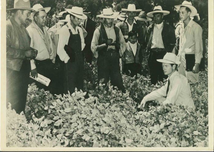 Improving World Agriculture - American Vintage Photograph 