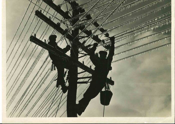 Telephone Wires - American Vintage Photograph
