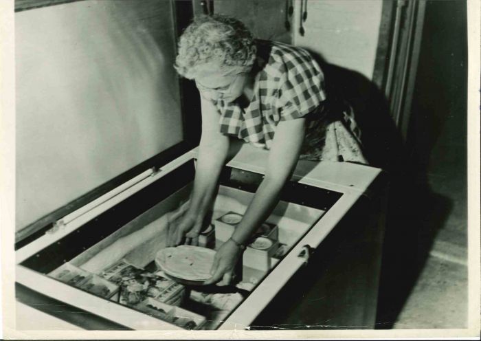 Frozen Food Industry - American Vintage Photograph