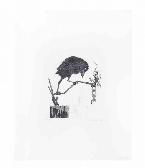 Bird on the Branch 