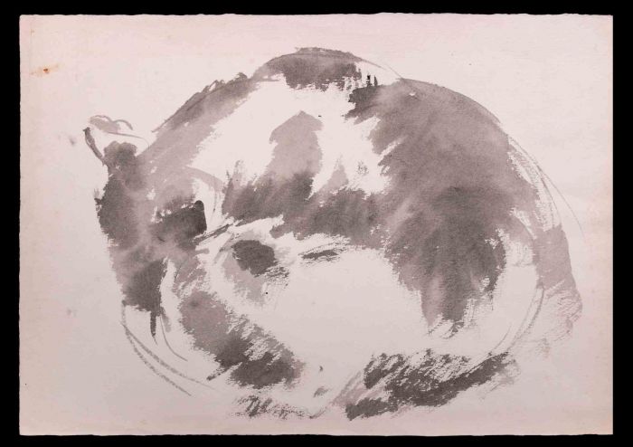Sleeping Cat 