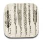 Six "Spikes" series Dishes by Piero Fornasetti - Decorative Objects 