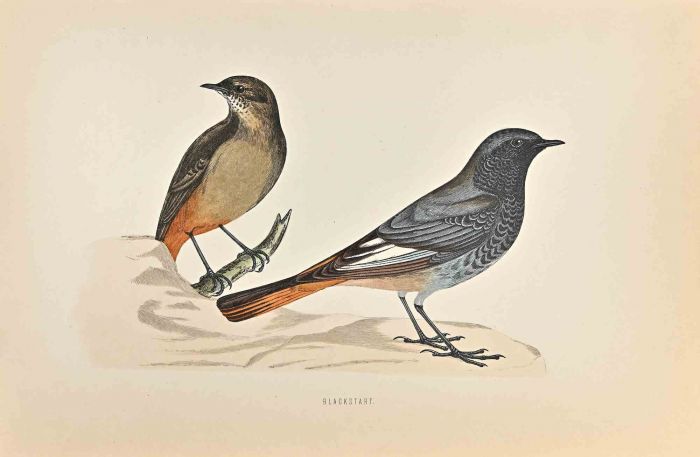 Blackstart