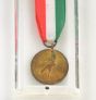 Commemorative Garibaldi Medal by Anonymous - Decorative Design