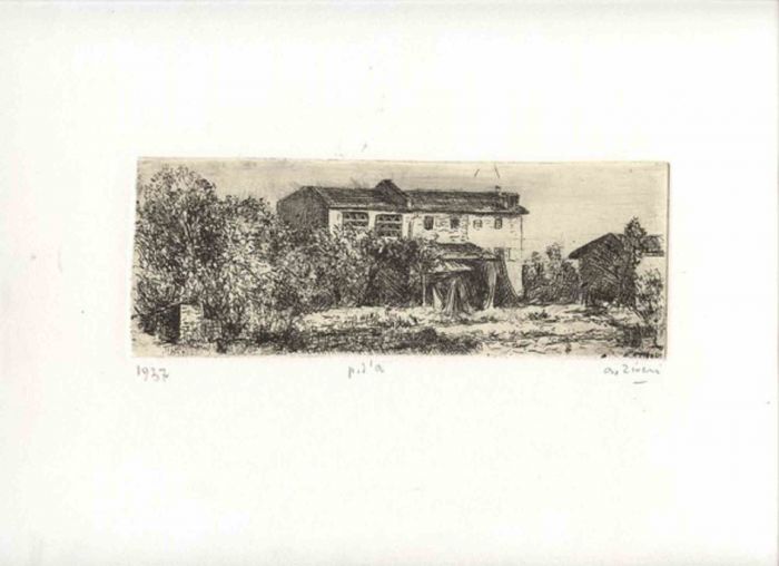 Emilian Countryside Landscape
