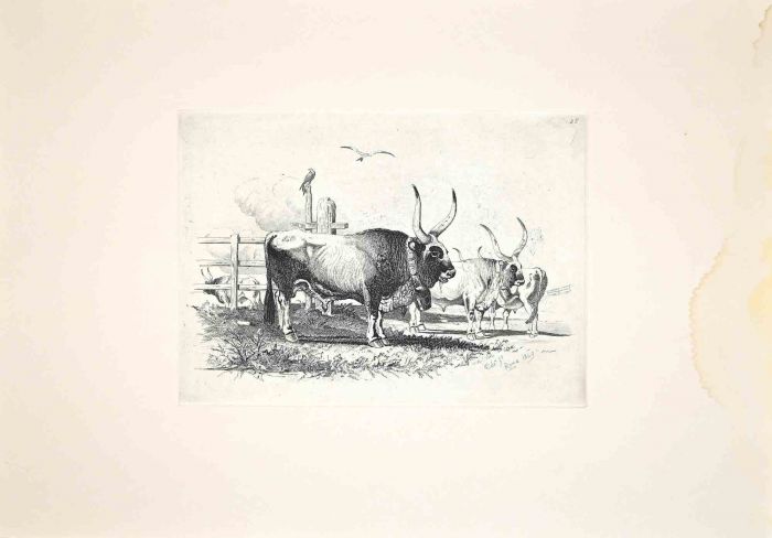 Bulls in the Roman Countryside