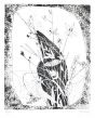 Flowers by Paolucci - Contemporary artwork