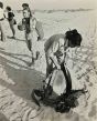 Israel's Parachute Girls