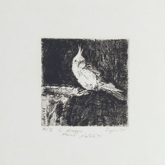Bird by Cugia Gianni - Contemporary Artwork