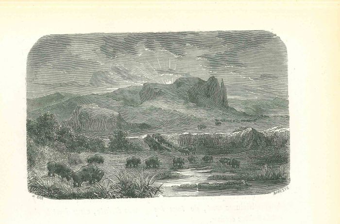 The Terrain