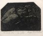 Lo Scarabeo d'Oro by Luigi Bartolini - Modern Artwork 