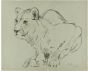 Crouched Lioness and Rubbits by Wilhelm Lorenz- Modern Artwork