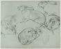 Crouched Lioness and Rubbits by Wilhelm Lorenz- Modern Artwork