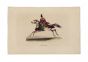 Giapponese Horseman 