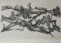 Landscape by Fiorella Diamantini