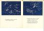 Exhibition Leaflet by Sebastian Matta - Contemporary artwork