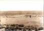 Djebel Amour Vintage Photograph - Original Photographs
