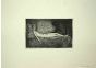 Reclined Nude