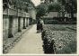 Mount Vernon, An American Shrine - Vintage Photograph