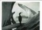 Anonymous - Driftwood - Vintage Photographs