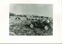 American Cattle Breeder - American Vintage Photograph