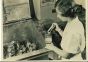 New Synthetic Soaps - American Vintage Photograp