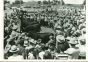 Scientific Farming Method- American Vintage Photograph