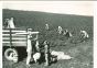 Cotton Farmer - American Vintage Photograph