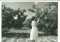 Middle-class American Woman- American Vintage Photograph